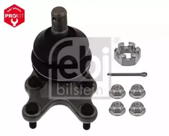 febibilstein-42998