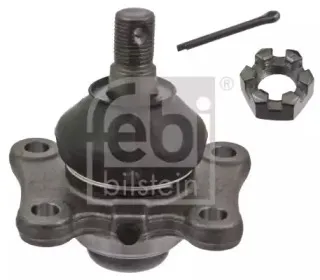 febibilstein-43002