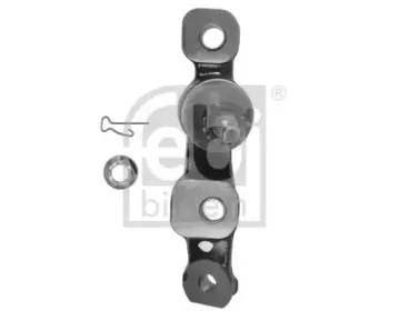 febibilstein-43034