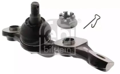 febibilstein-43036