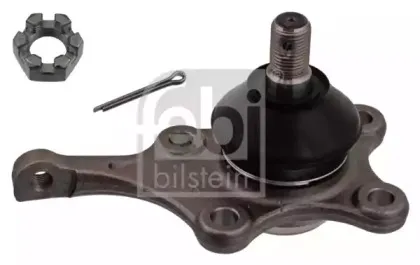 febibilstein-43037