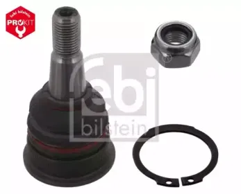 febibilstein-43077