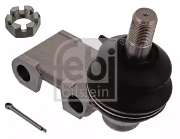 febibilstein-43083