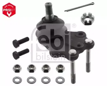 febibilstein-43086