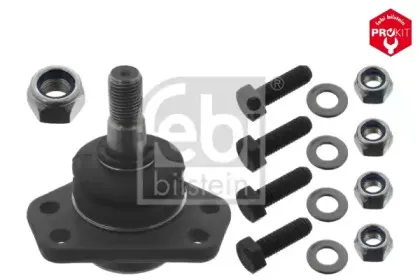 febibilstein-43087