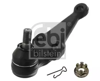 febibilstein-43094