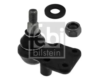 febibilstein-43322