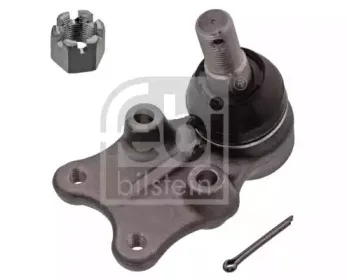 febibilstein-43323