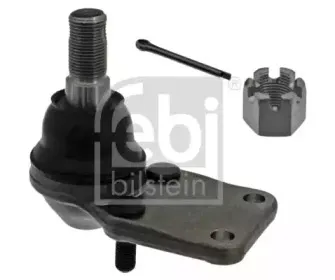 febibilstein-43324