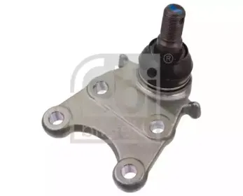 febibilstein-43341