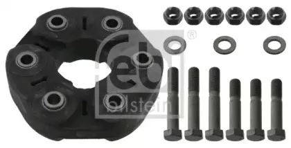 febibilstein-43486