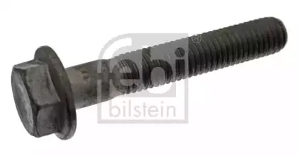 febibilstein-43596