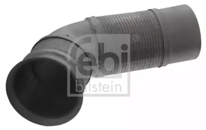 febibilstein-43712