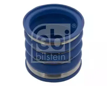 febibilstein-44293