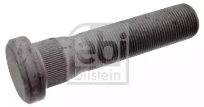 febibilstein-44311