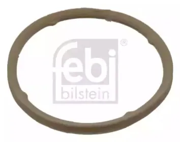 febibilstein-44316