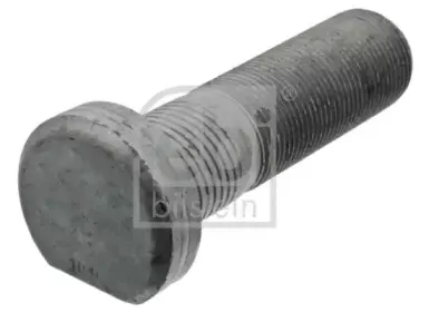 febibilstein-44322