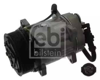 febibilstein-44367
