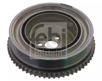febibilstein-44419