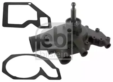 febibilstein-44465