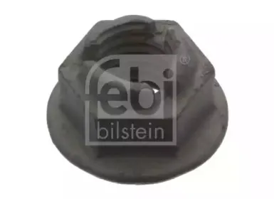 febibilstein-44514