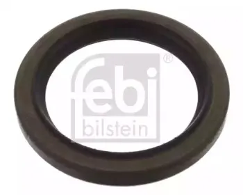 febibilstein-44833