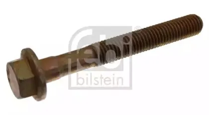 febibilstein-44835