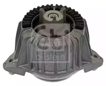 febibilstein-44857