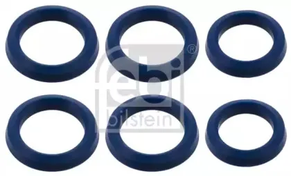 febibilstein-44879