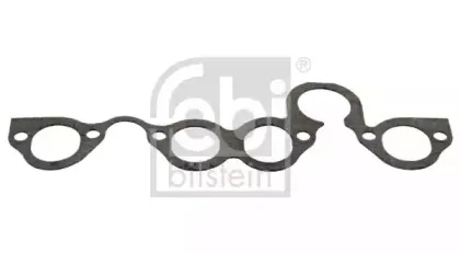 febibilstein-45076