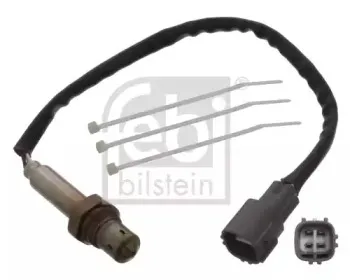 febibilstein-45153