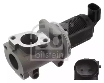 febibilstein-45157