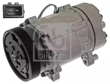 febibilstein-45159