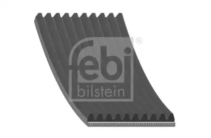 febibilstein-45438