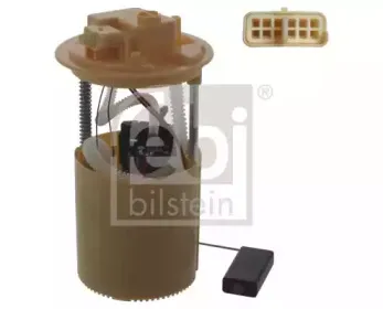 febibilstein-45468