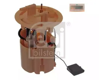 febibilstein-45471