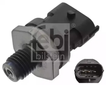 febibilstein-45490