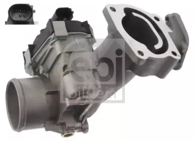 febibilstein-45599