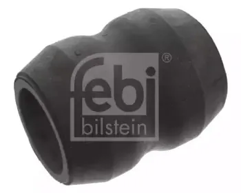 febibilstein-45671