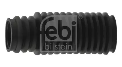 febibilstein-45920