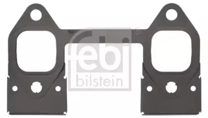 febibilstein-45948