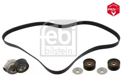 febibilstein-45969