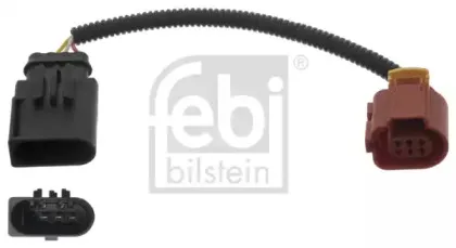 febibilstein-46099