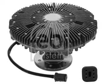 febibilstein-46114