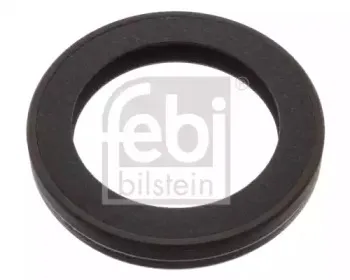 febibilstein-46239