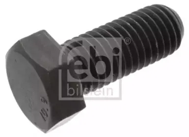 febibilstein-46308