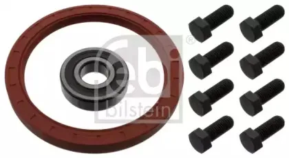 febibilstein-46347