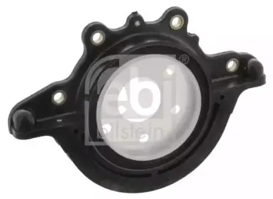 febibilstein-46378