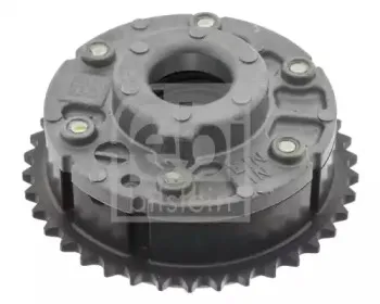 febibilstein-46503