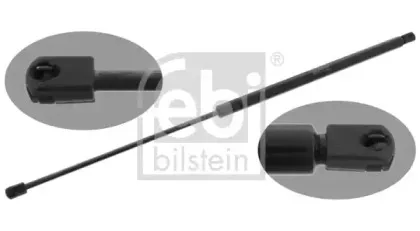 febibilstein-46555